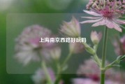 上海南京西路好玩吗
