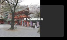 西双版纳旅游好