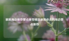 旅游海边推荐景点推荐精选旅游必去的海边景点推荐