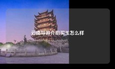云南导游介绍买玉怎么样