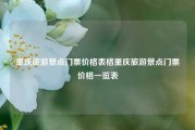 重庆旅游景点门票价格表格重庆旅游景点门票价格一览表