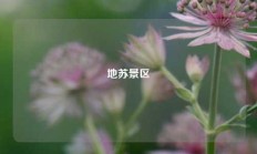 地苏景区