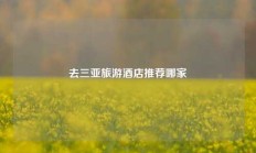 去三亚旅游酒店推荐哪家