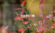 抖音景区门票