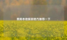 贵阳本地旅游地方推荐一下