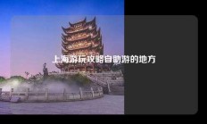 上海游玩攻略自助游的地方