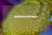 海南旅游景点推荐情侣去