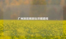 广州到昆明游玩攻略路线