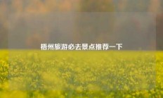 梧州旅游必去景点推荐一下