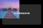 马兰花草原旅游攻略