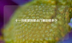 十一月底旅游景点门票价格多少