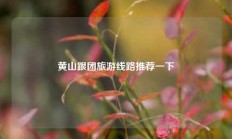 黄山跟团旅游线路推荐一下