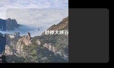 桫椤大峡谷