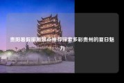 贵阳暑假旅游景点推荐探索多彩贵州的夏日魅力