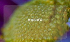 赏雪的景点