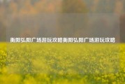 衡阳弘阳广场游玩攻略衡阳弘阳广场游玩攻略