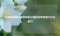 昆明旅游租车推荐探索云南的自然奇观与文化魅力