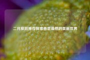 二月旅游推荐探索春意盎然的美丽世界