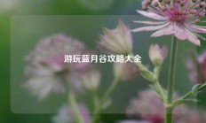 游玩蓝月谷攻略大全