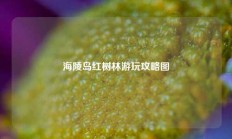 海陵岛红树林游玩攻略图
