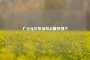 广元元旦旅游景点推荐图片
