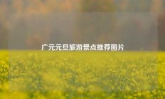 广元元旦旅游景点推荐图片