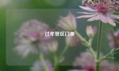 过年景区门票