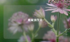 鹰窠顶作文
