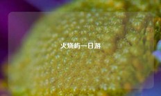 火烧屿一日游