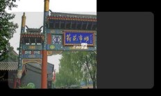 rao霞