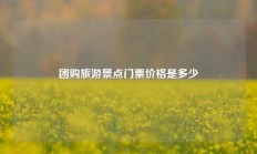 团购旅游景点门票价格是多少
