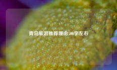 青岛旅游推荐理由500字左右