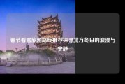 春节看雪旅游路线推荐探寻北方冬日的浪漫与宁静