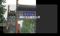 柳杉王公园怎么样