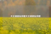 大王洞游玩攻略大王洞游玩攻略