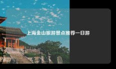 上海金山旅游景点推荐一日游