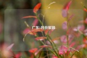 广东1月份旅游