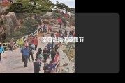 圣母始胎无原罪节