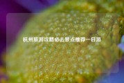杭州旅游攻略必去景点推荐一日游