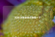川内2天旅游景点推荐一下