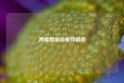 西雅图旅游推荐路线