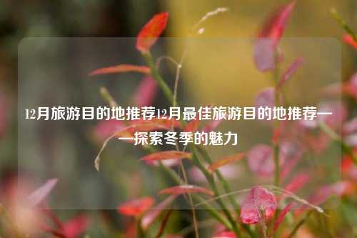 12月旅游目的地推荐12月最佳旅游目的地推荐——探索冬季的魅力
