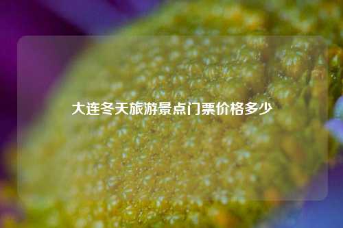 大连冬天旅游景点门票价格多少