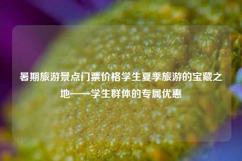 暑期旅游景点门票价格学生夏季旅游的宝藏之地——学生群体的专属优惠