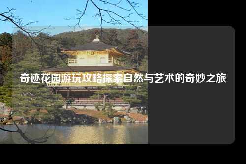 奇迹花园游玩攻略探索自然与艺术的奇妙之旅