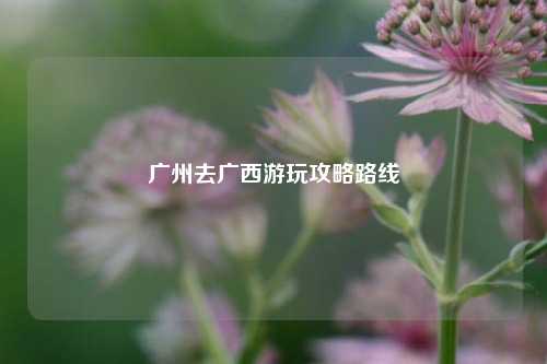广州去广西游玩攻略路线