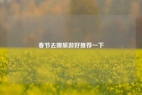 春节去哪旅游好推荐一下