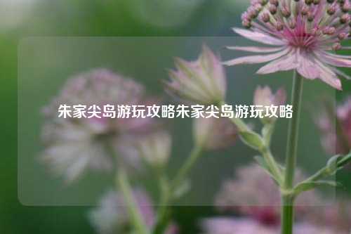 朱家尖岛游玩攻略朱家尖岛游玩攻略