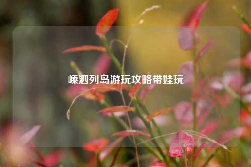 嵊泗列岛游玩攻略带娃玩