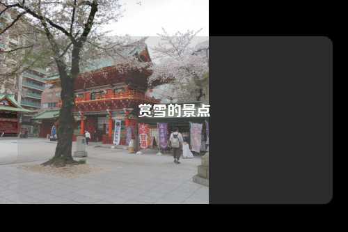赏雪的景点